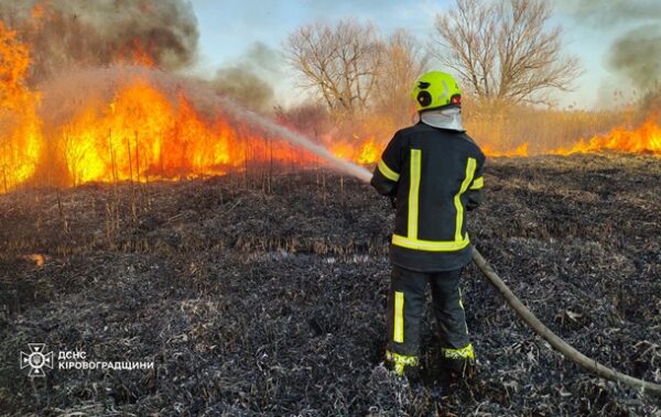 В Україні за вихідні вигоріло 2000 гектарів землі
