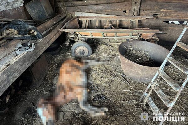 На Хмельниччині чоловік жорстоко поводився з десятками коней