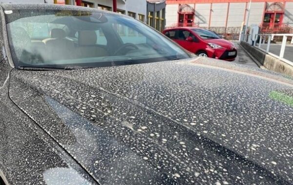 Українців попередили про пилову бурю у двох областях