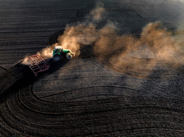 В Україні стартувала сівба цукрових буряків та сої