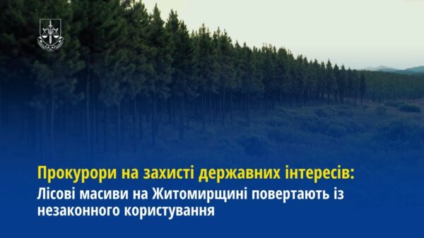 Лісові масиви на Житомирщині повертають із незаконного користування