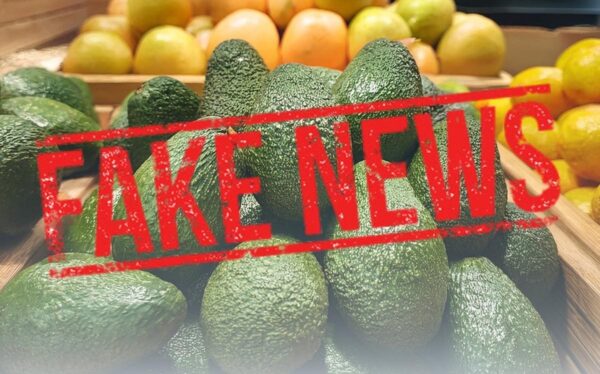 Держпродспоживслужба спростовувала чутки про отруйне авокадо