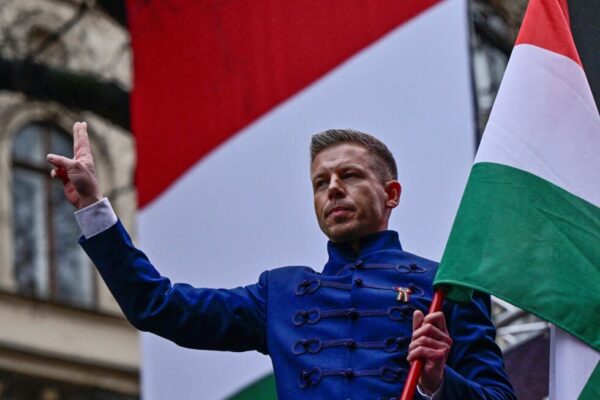 Понад 58% угорців підтримали вступ України до ЄС – опозиція