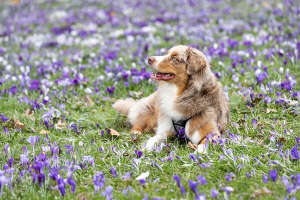 Свята 15 квітня 2025 року: іменини, прикмети