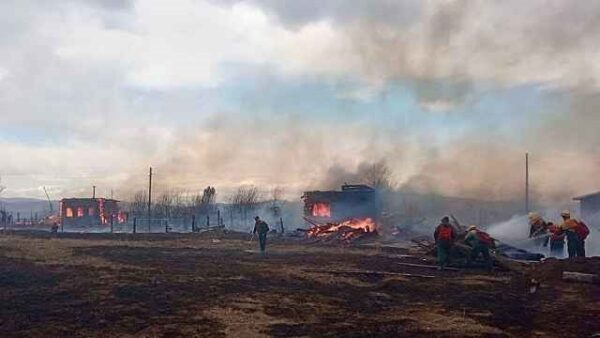 Площа лісових пожеж у Росії зрівнялася з територією Чорногорії