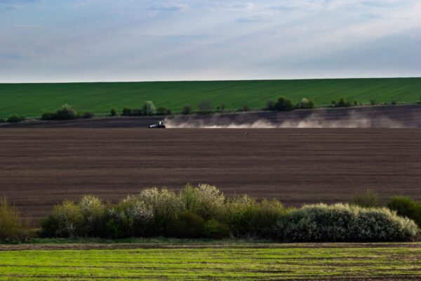 Весняна сівба: аграрії виконали 76% плану