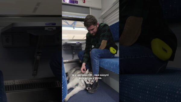 Нові правила перевезення тварин в поїздах Укрзалізниці