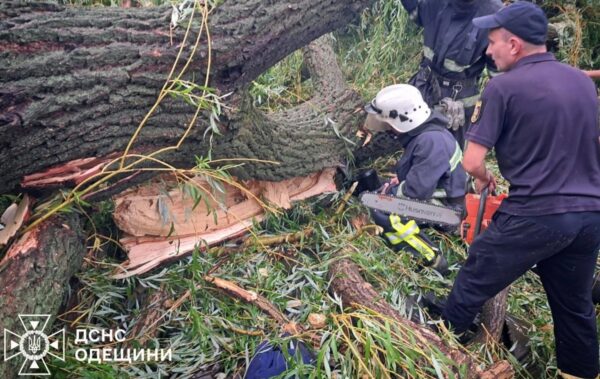 На Одещині через падіння дерева загинув підліток