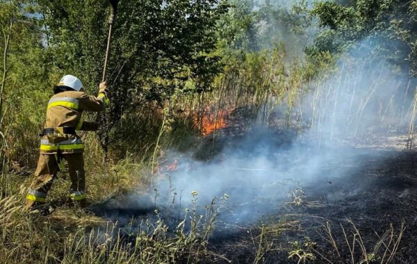На Одещині вирують масштабні пожежі: є жертва