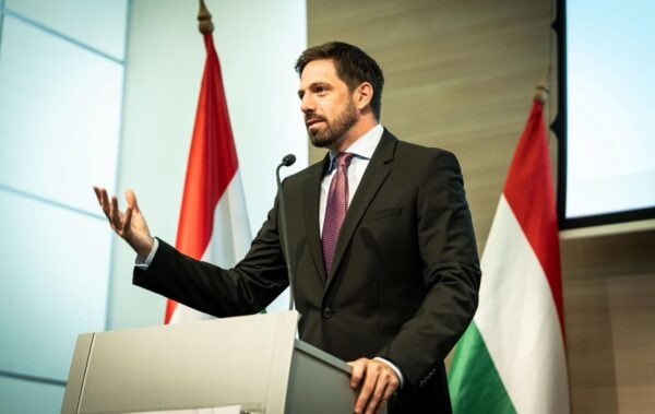 Посла України викликали в МЗС Угорщини через смерть мобілізованого угорця