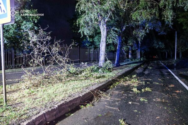 Розгул стихії: ДСНС Харківщини показала наслідки