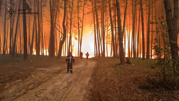 Рятувальники ліквідували понад дві сотні пожеж з початку доби