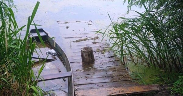 Трагедія у Дніпрі: у ставку потонула чотирирічна дитина