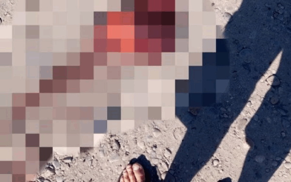 У Ростовській області РФ під час розмінування дрона загинули два сапери