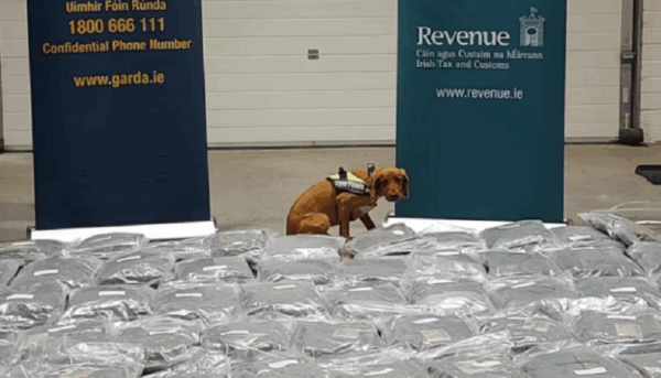 В Ірландії у вантажівці знайшли канабіс вартістю понад 2,1 млн євро