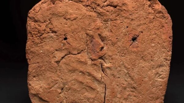 Відбиток долоні гончара знайшли в гробниці Стародавнього Єгипту