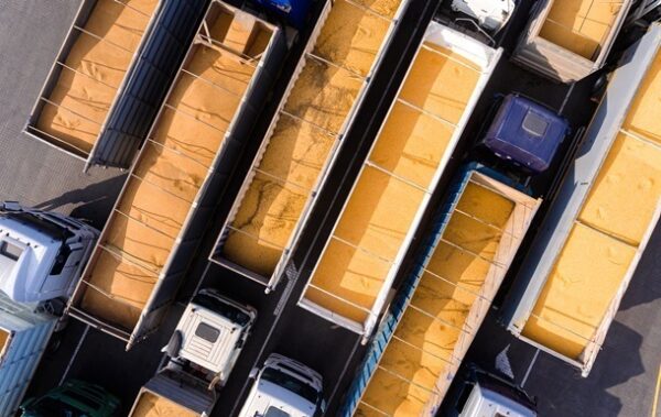 Зерновий експорт впав майже на 11 млн тонн