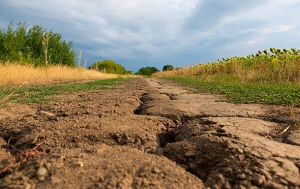 Континенти Землі висихають із безпрецедентною швидкістю – дослідження