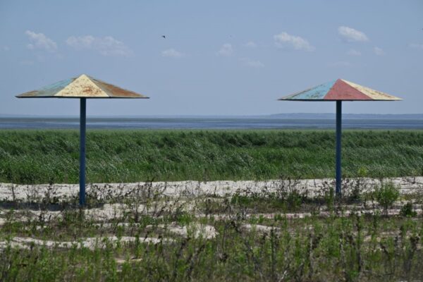 Територію Каховське водосховище регулярно охоплює вогонь – Держекоінспекція