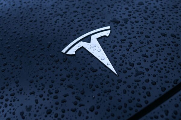 Tesla втратила половину продажів у Британії та Німеччині