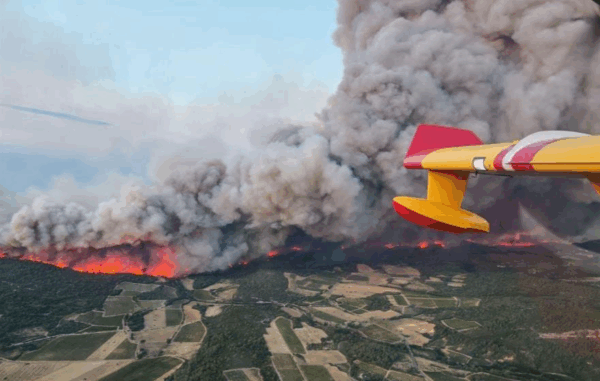 У Франції вирує масштабна лісова пожежа