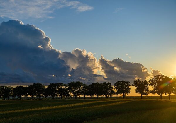 Українцям обіцяють суху та спекотну погоду на вихідних