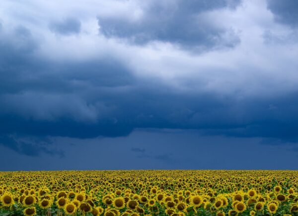 В Україні прогнозують до +33&deg;, подекуди грози та град