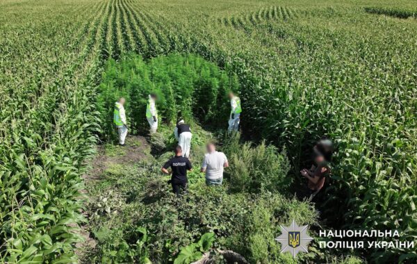 В Україні провели масштабну операцію Джентельмени