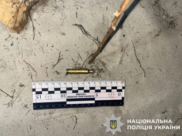 Жителю Київщини загрожує до трьох років за вбивство алабая