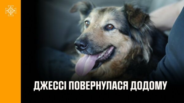 Щасливий фінал, на який чекала вся Україна: собака Джессі знову в родині! 🐾