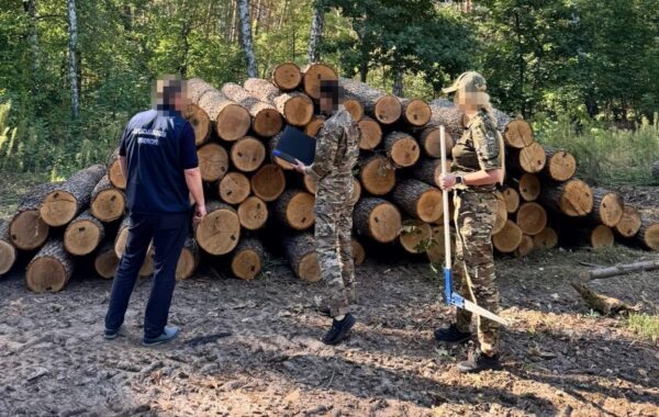 ДБР оголосило підозру екскерівнику лісгоспу Харківщини