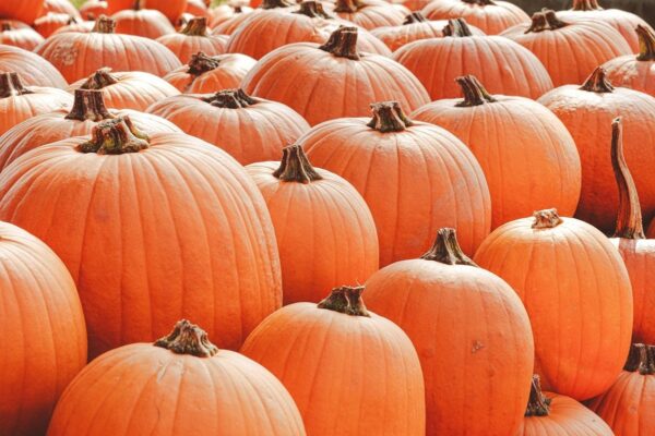 Гороскоп для всіх знаків зодіаку на 11 вересня 2025 року