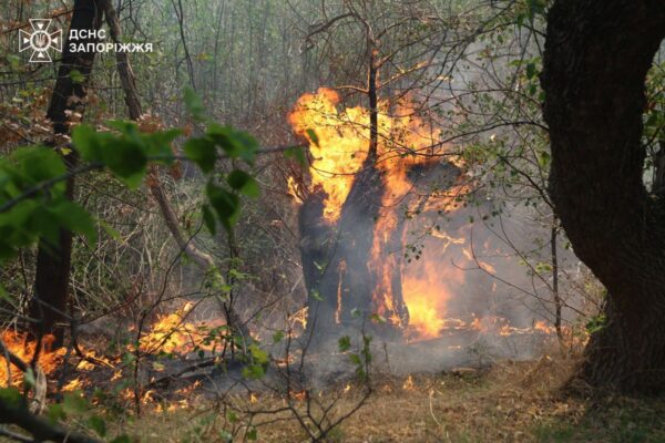 На Хортиці спалахнула масштабна пожежа