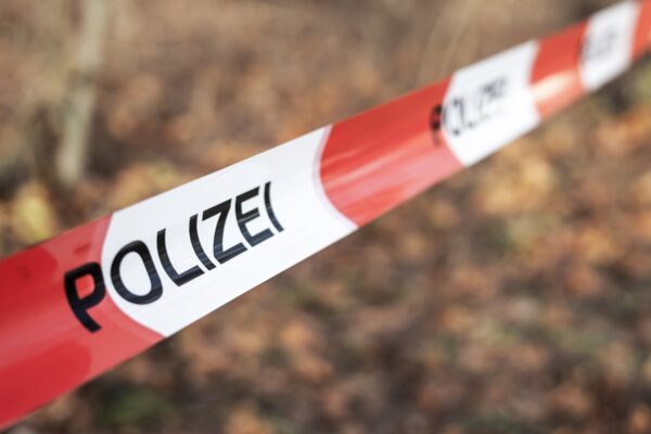 У Німеччині вбили 16-річну українку, штовхнувши під вантажний потяг