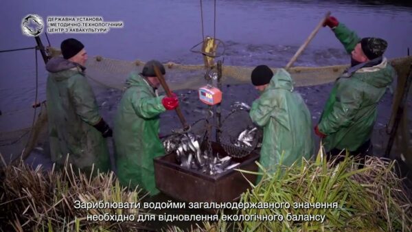 ❗️Відновлення водних біоресурсів – шлях до екологічного балансу та сталого розвитку