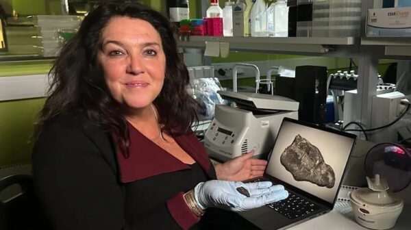 В Естонії знайшли смолу, яку жувала дівчина кам&rsquo;яної доби