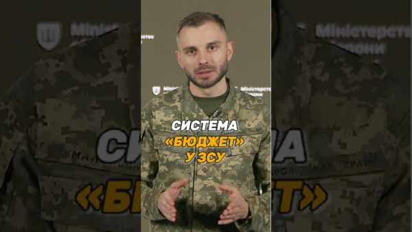 СИСТЕМА «БЮДЖЕТ» У #ЗСУ