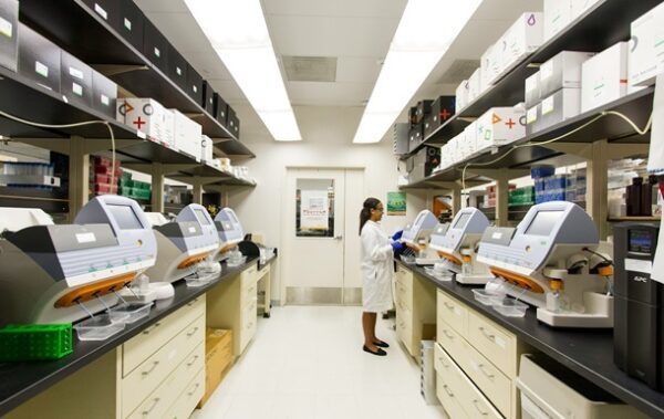 Ожиріння суттєво пришвидшує розвиток хвороби Альцгеймера – дослідження