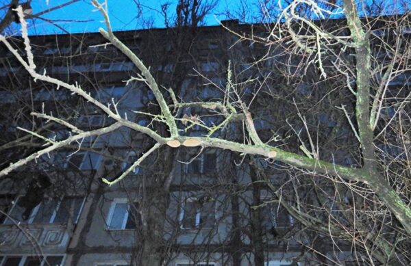 Поліціянти розслідують загибель дівчини у заблокованій квартирі Миколаєва