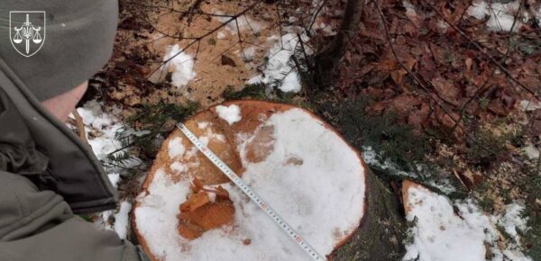 Суд розгляне справу ексочільника ДСНС, який “розчистив” заказник на 7 млн