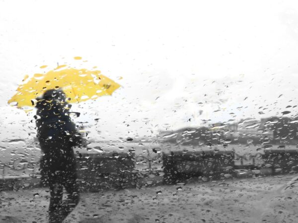 Невеликі дощі й вітер: якої погоди очікувати найближчими днями