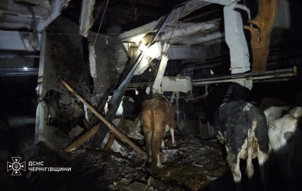 РФ атакувала сільгосппідприємство на Чернігівщині