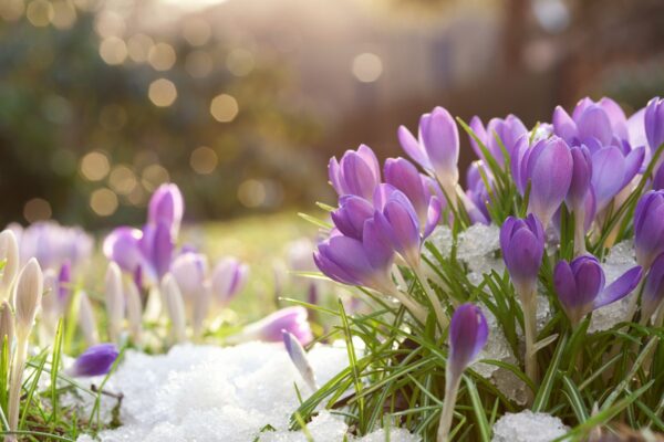 Сухо, місцями до +17&deg;: погода на початку тижня