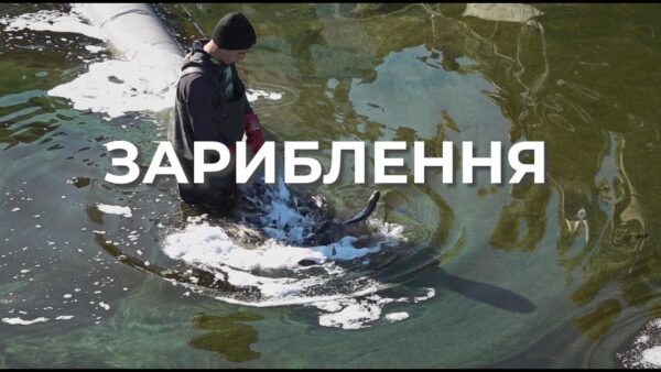 ❗️ Зариблення – важливий інструмент відновлення рибних популяцій