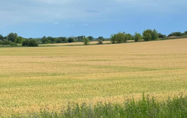 Державі повернули понад 500 га особливо цінних земель НААН